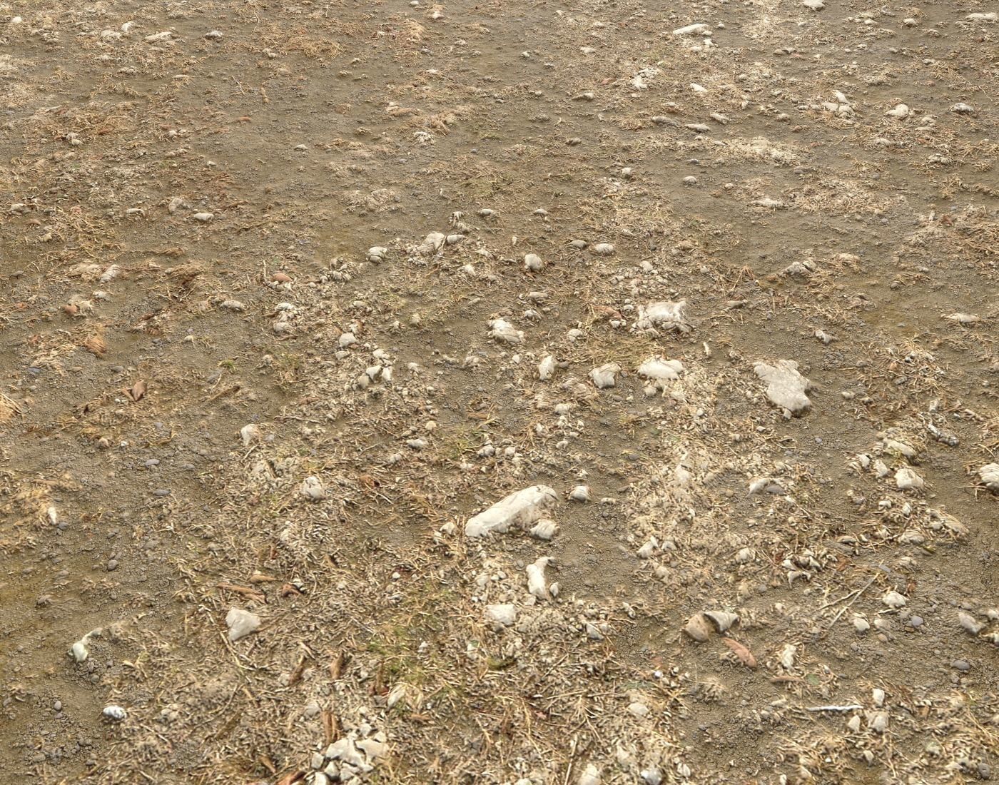 Arid Wasteland ground PBR Pack 1 Texture_7