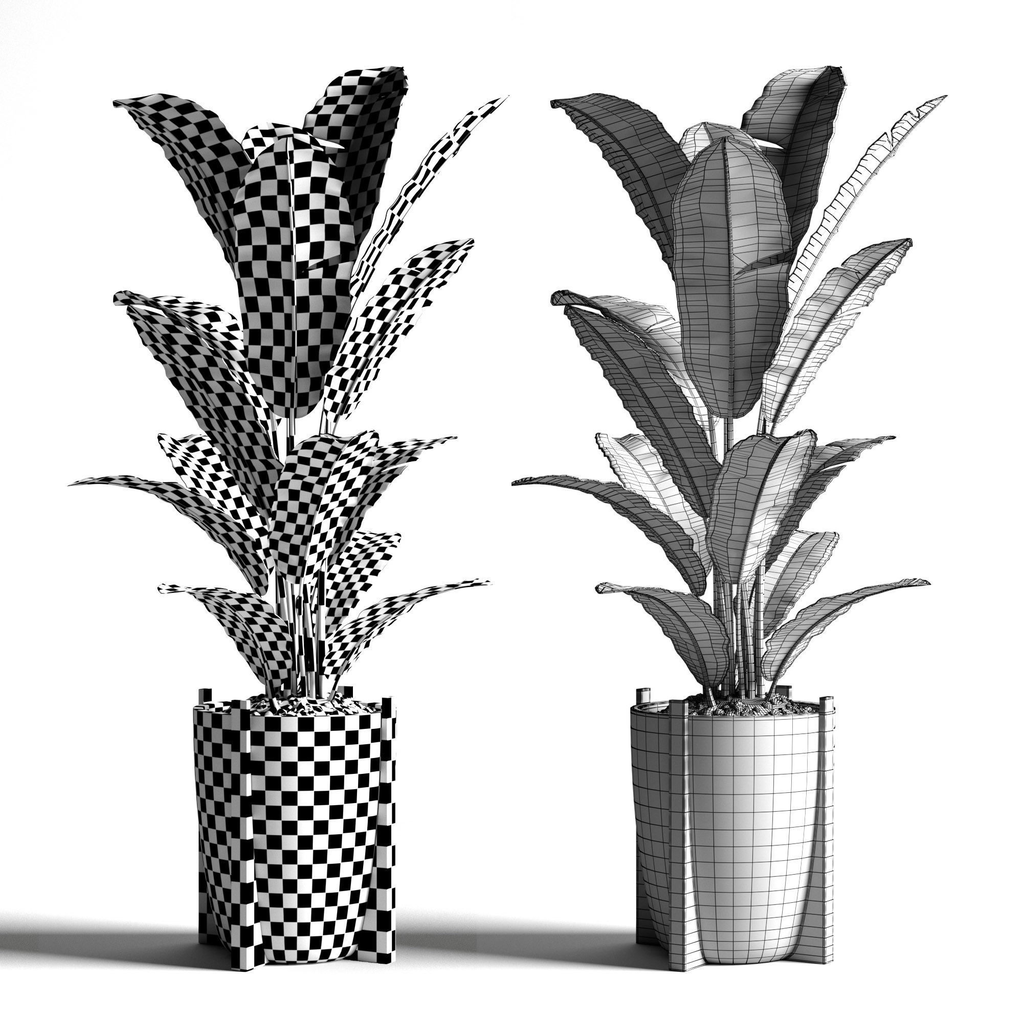 Banana tree 2 3D model_2