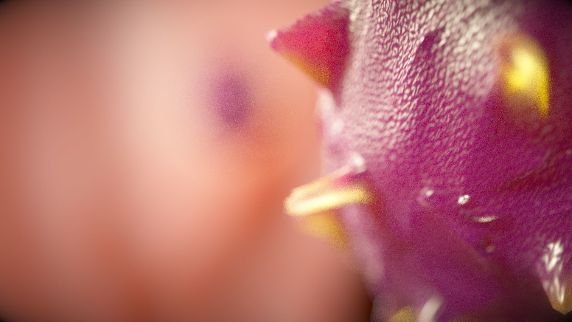 CGI - SARS VIRUS ARTISTIC REPRESENTATION Low-poly 3D model_4