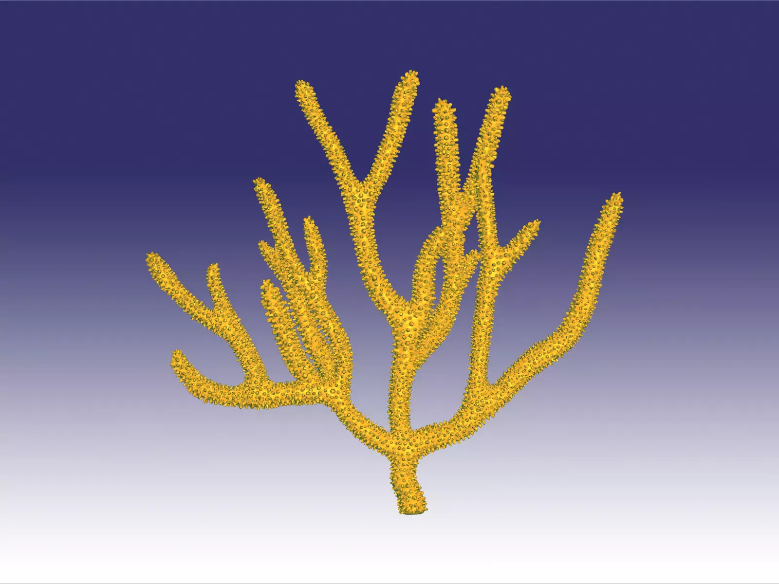 Gorgonia coral 3D print model_0