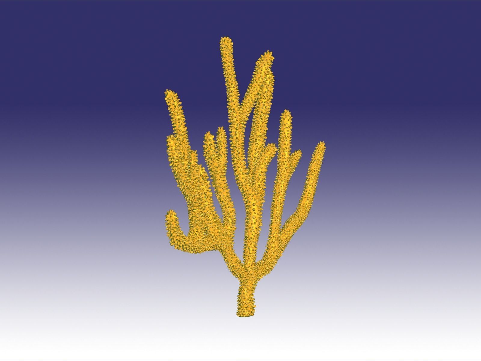 Gorgonia coral 3D print model_1