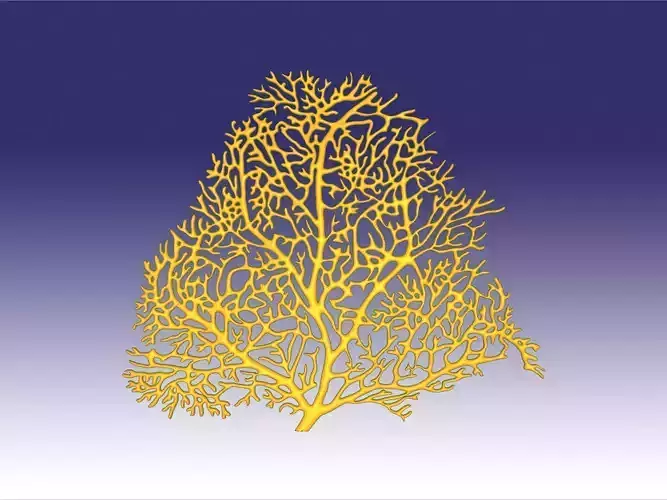 Seafan coral 3D print model