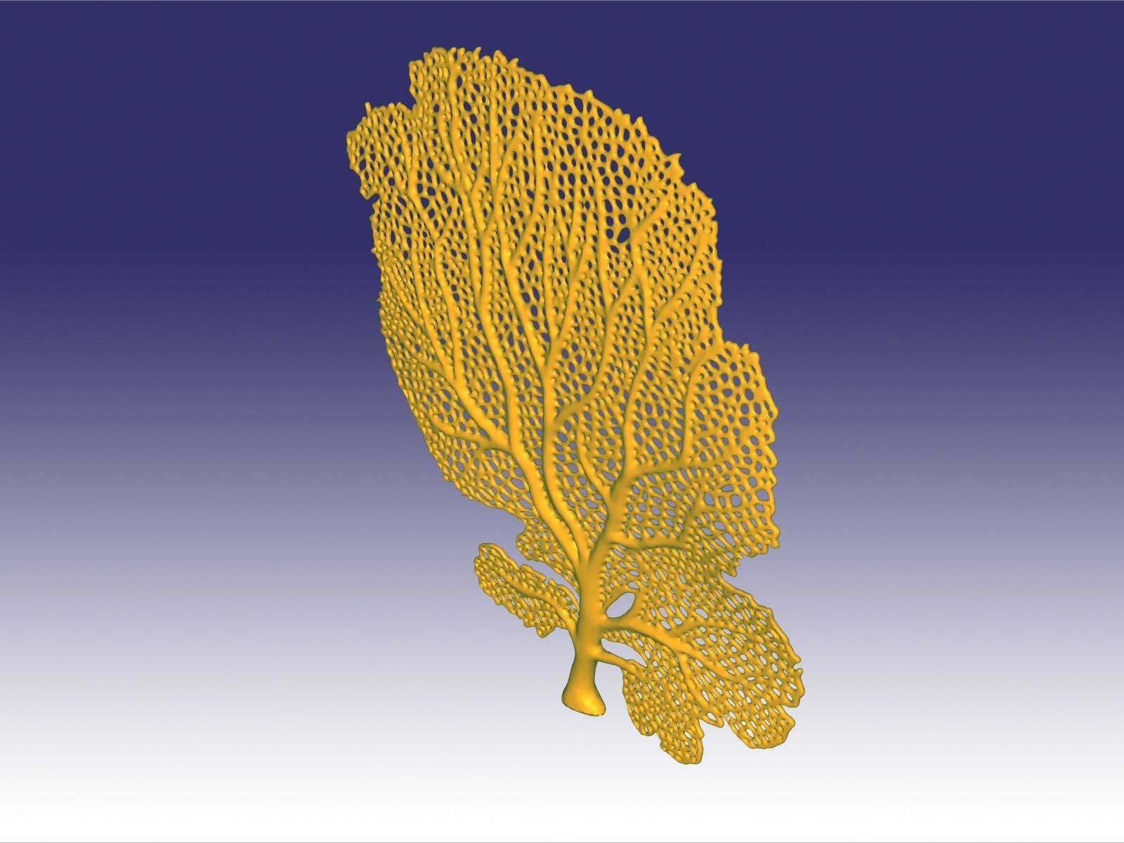 Red seafan 3D print model_1