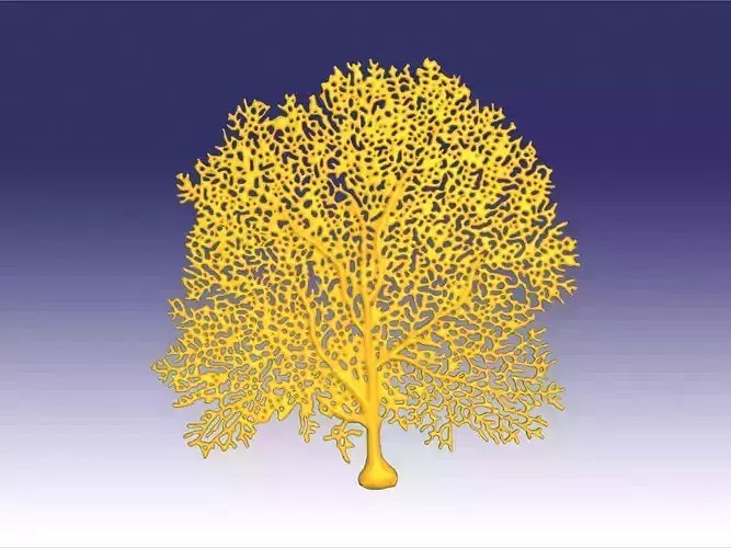 Seafan coral 3D print model