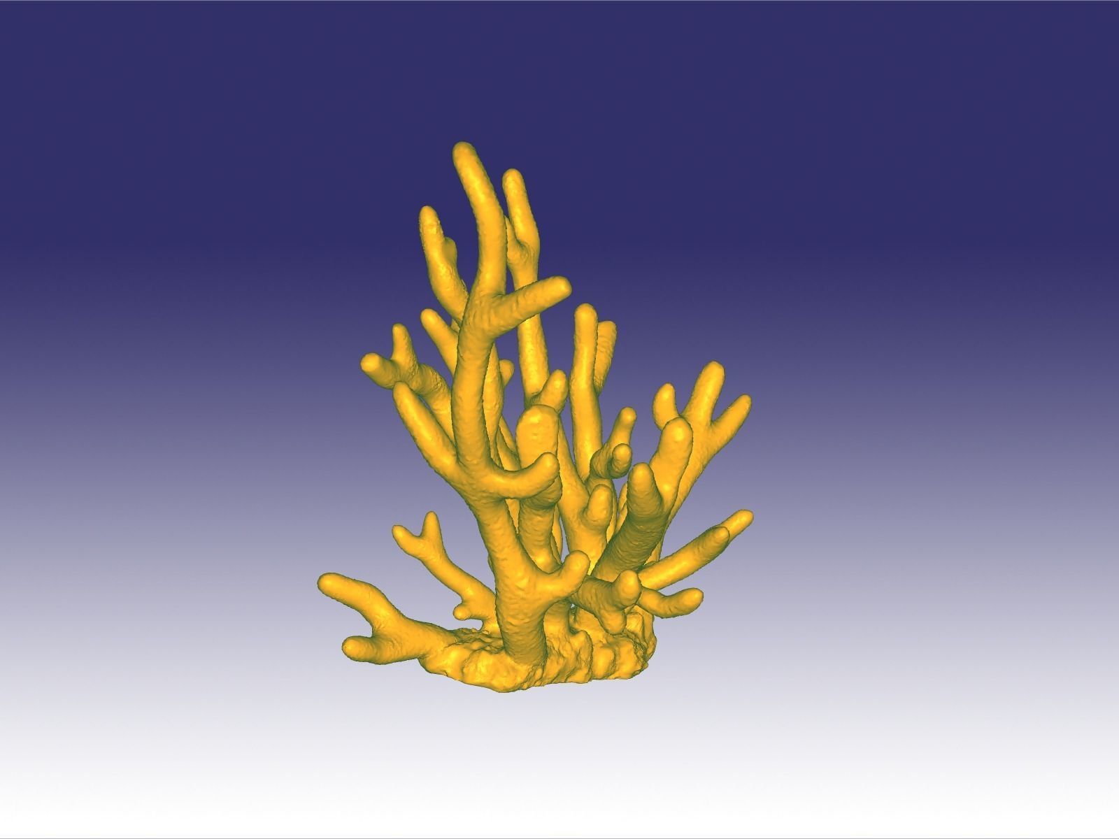 Staghorn coral 3D print model_1