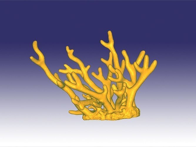 Staghorn coral 3D print model