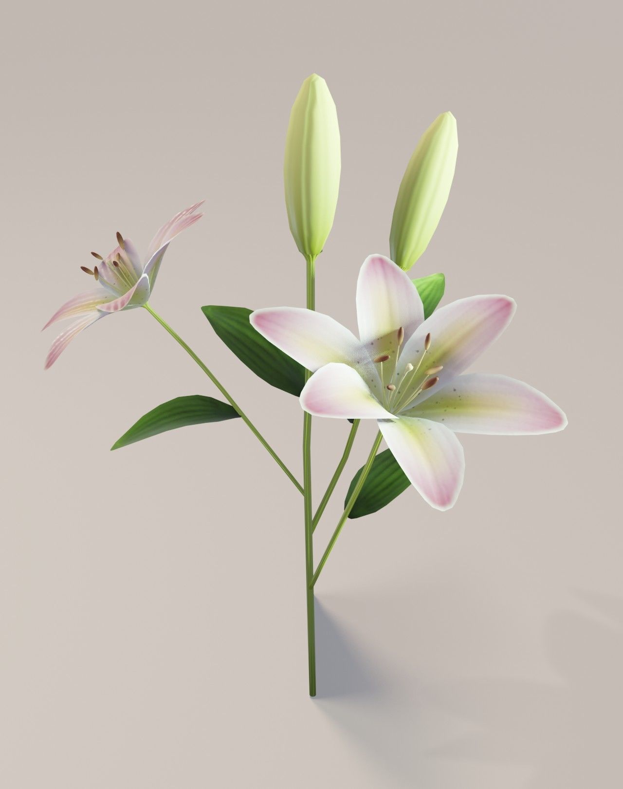 Easter 3D Model Low-poly 3D model_53