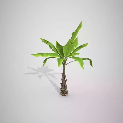  Palm tree Cartoon Stylized Hand painted Low-poly 3D model