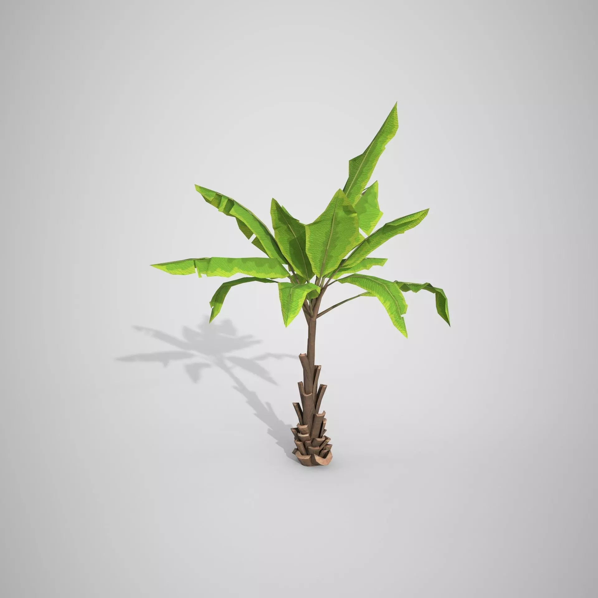 Palm tree Cartoon Stylized Hand painted Low-poly 3D model