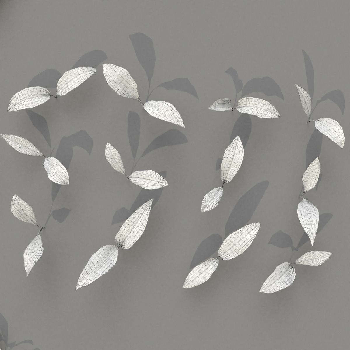 Allium Ursinum 3D model_16