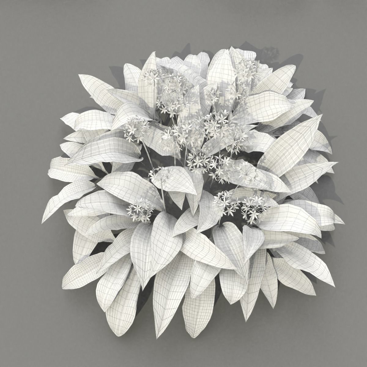 Allium Ursinum 3D model_7