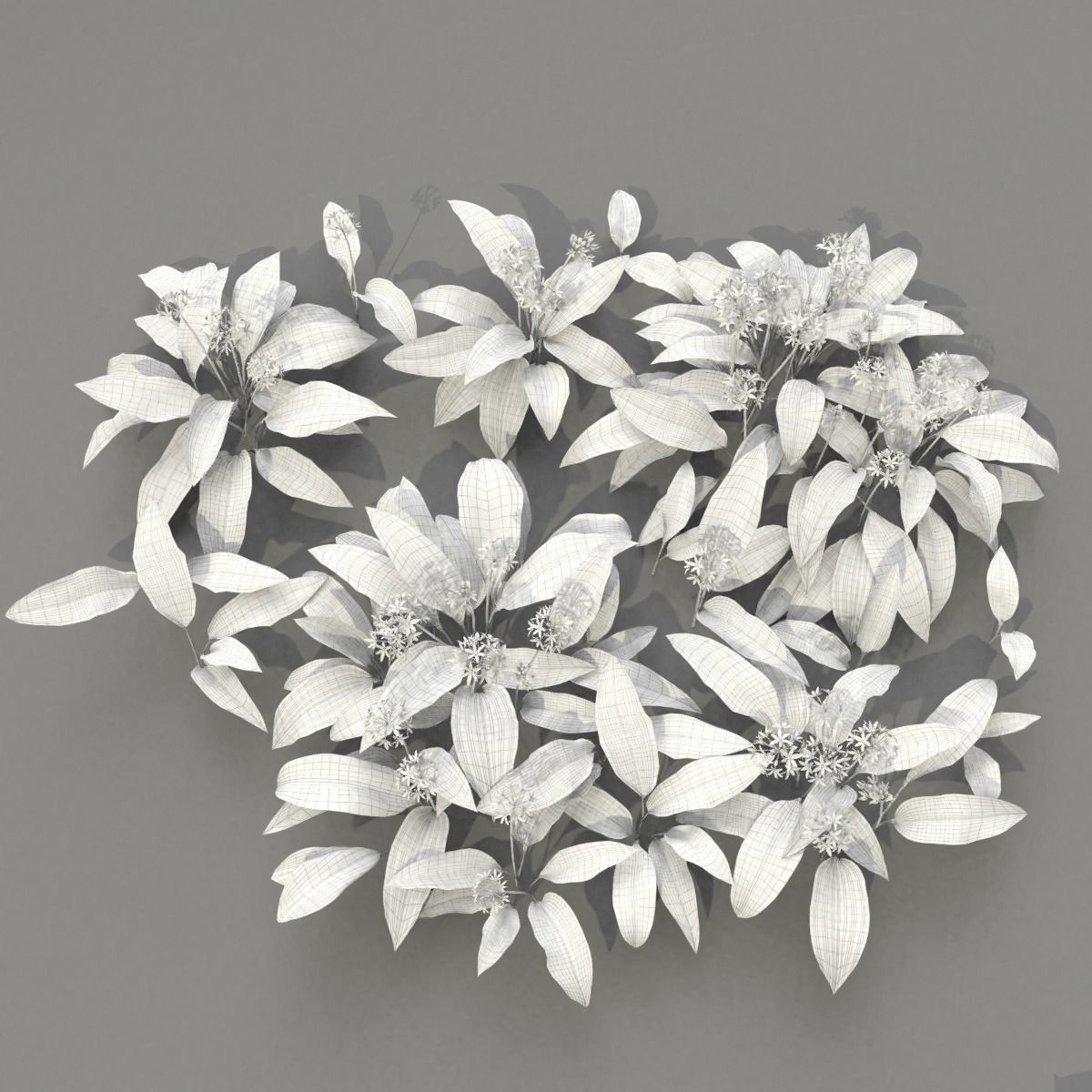 Allium Ursinum 3D model_8
