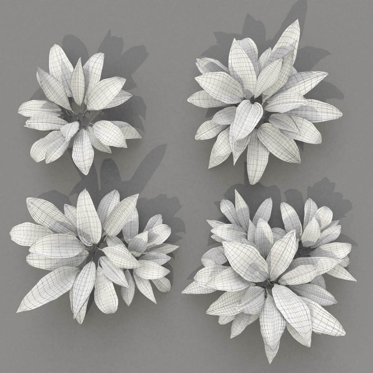 Allium Ursinum 3D model_17