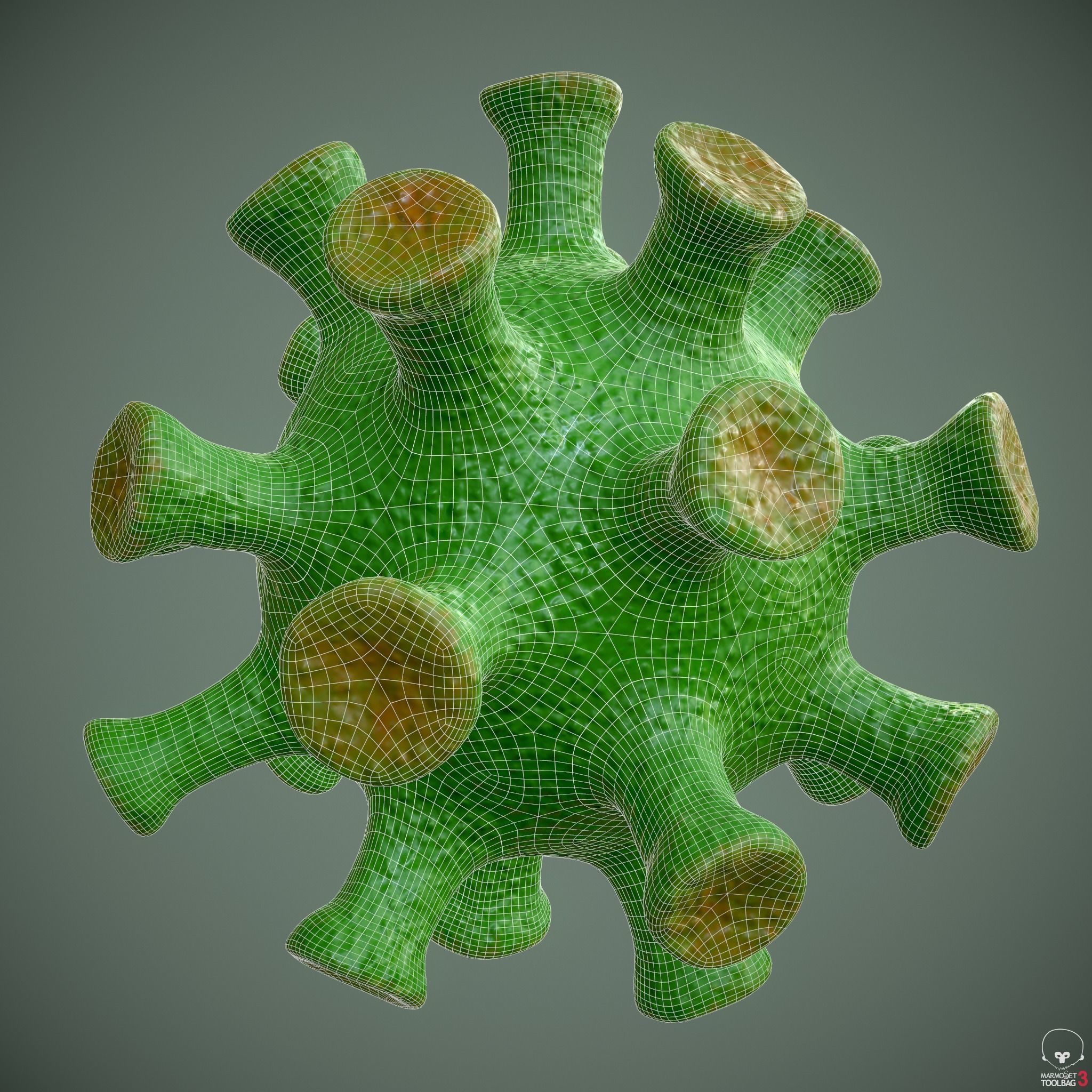 Coronavirus - PBR - Low-poly 3D model_3