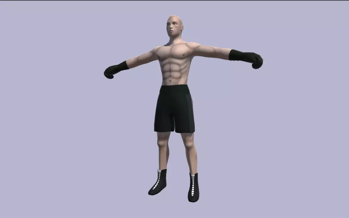 Rigged Boxer Low-poly 3D model_0