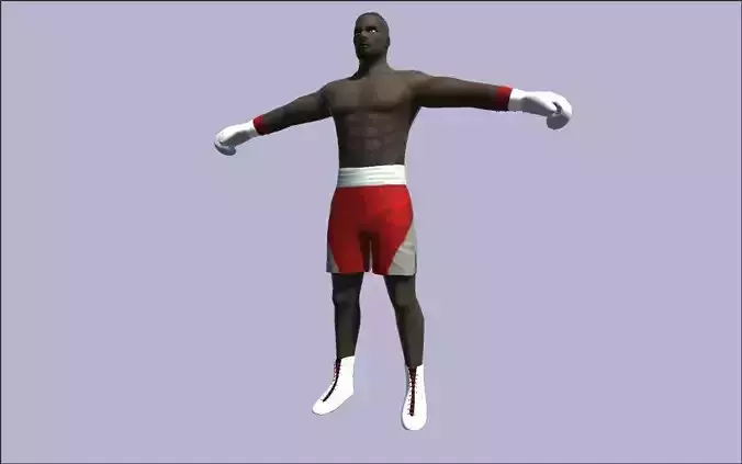 Rigged Boxer