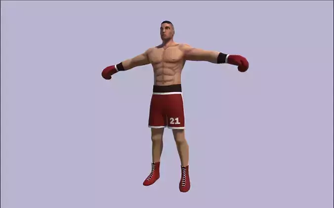 Rigged Boxer