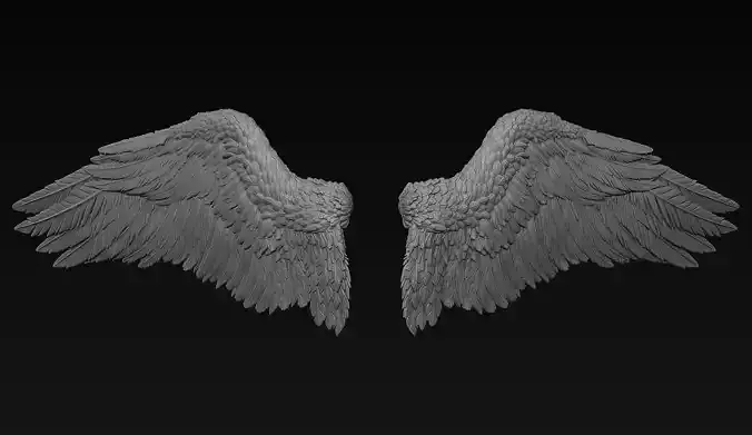 Wings Zbrush Sculpt