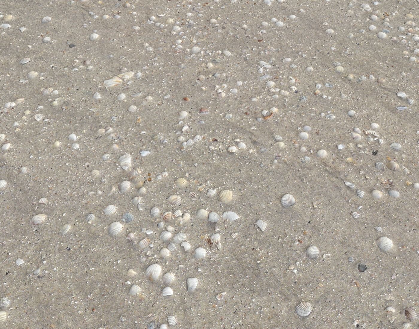 Ground terrain beach PBR pack 2  Texture_6