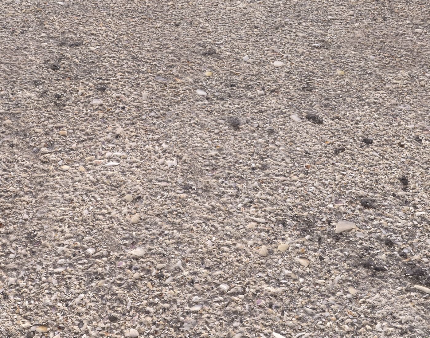 Ground terrain beach PBR pack 2  Texture_15