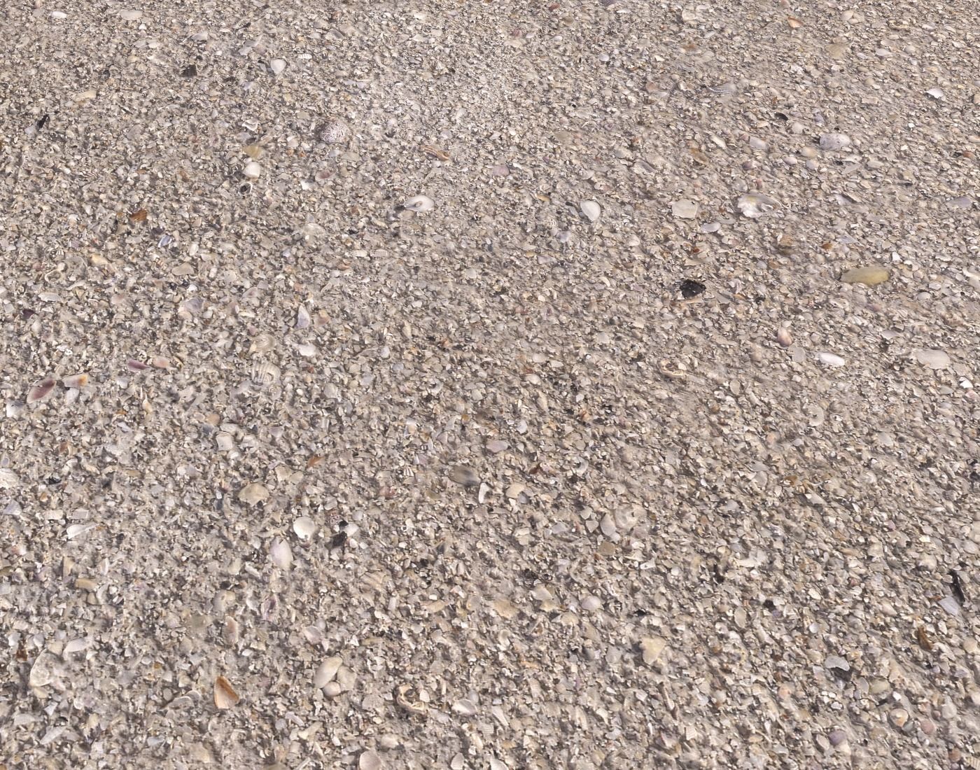 Ground terrain beach PBR pack 2  Texture_18