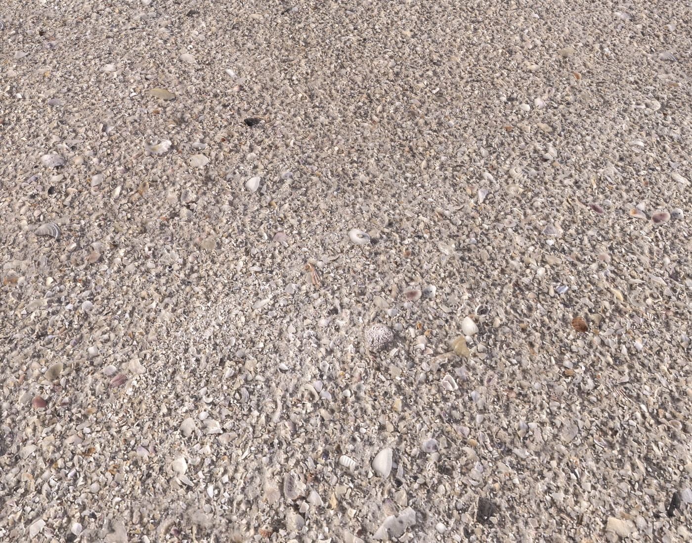 Ground terrain beach PBR pack 2  Texture_17