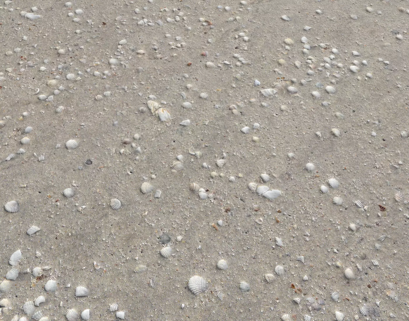 Ground terrain beach PBR pack 2  Texture_0