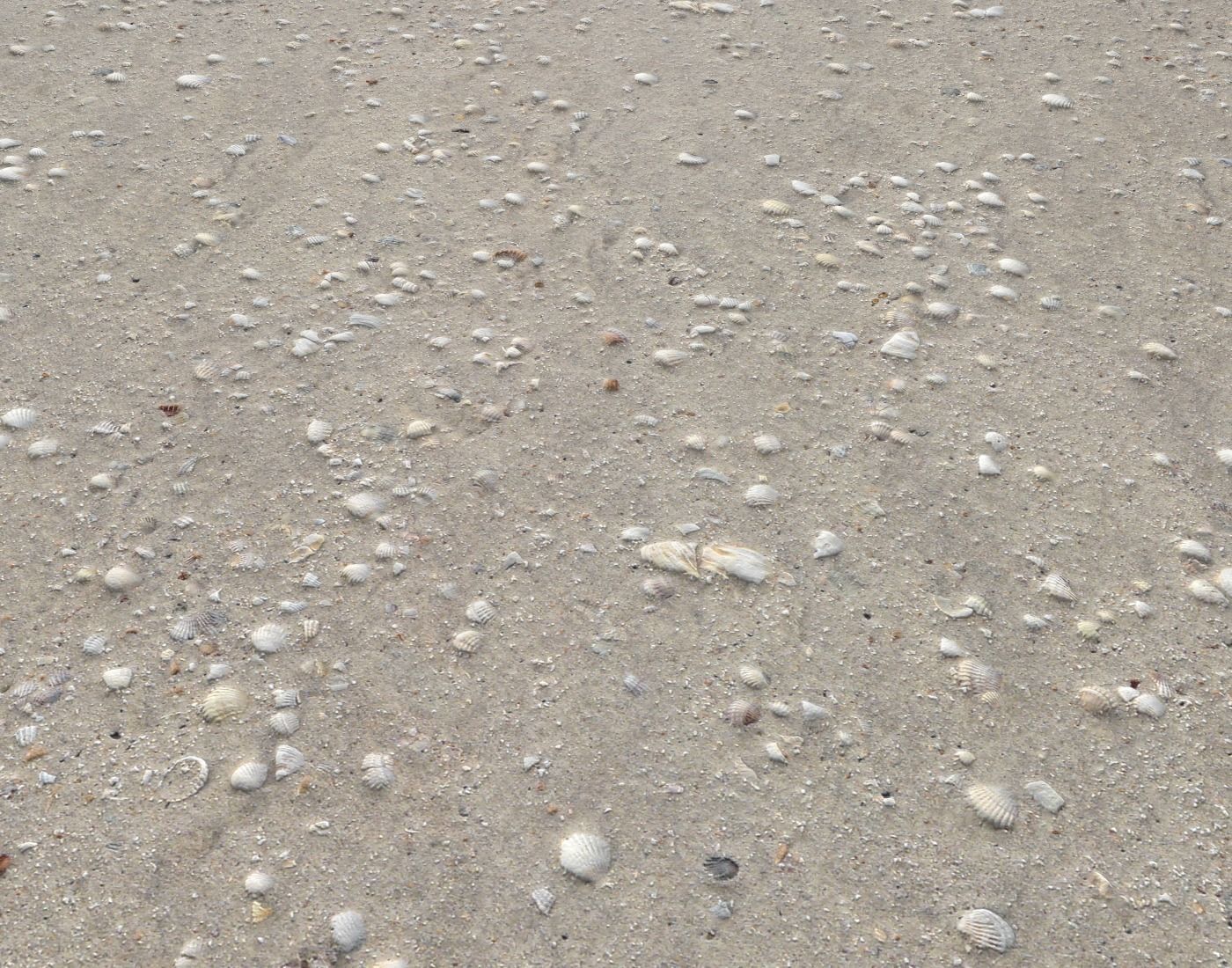 Ground terrain beach PBR pack 2  Texture_7