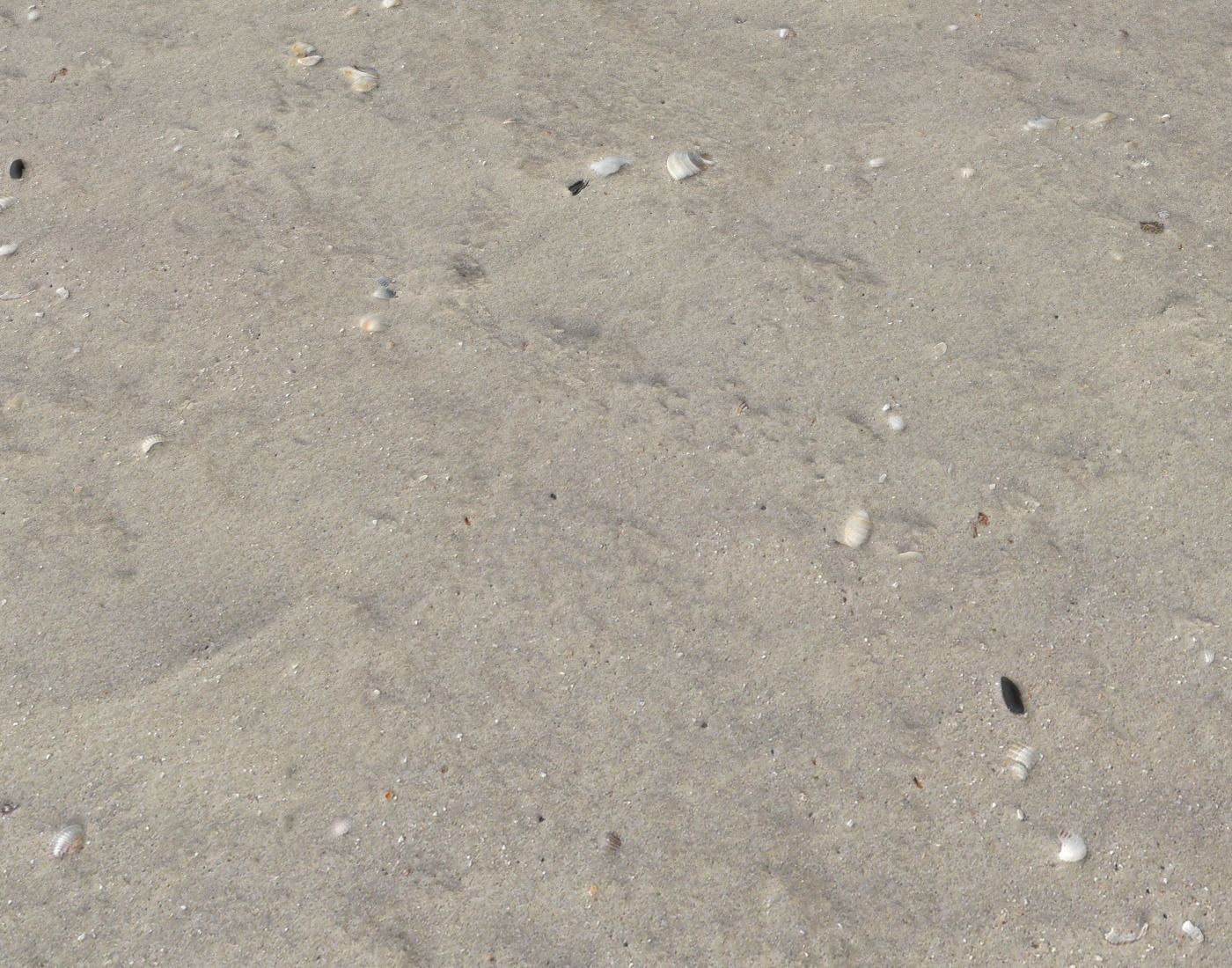 Ground terrain beach PBR pack 2  Texture_12