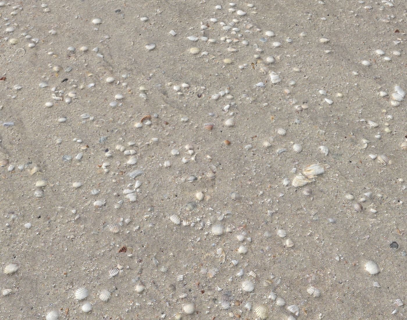 Ground terrain beach PBR pack 2  Texture_8