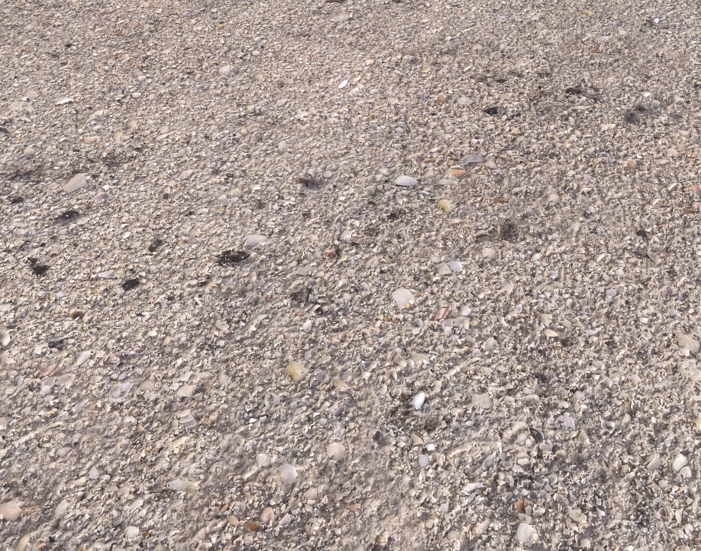 Ground terrain beach PBR pack 2  Texture_14