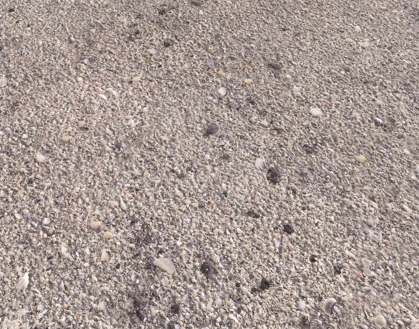 Ground terrain beach PBR pack 2  Texture_13