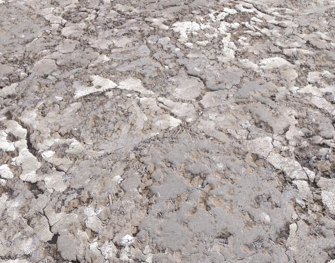 Desert Wasteland ground PBR Pack 2 Texture_0