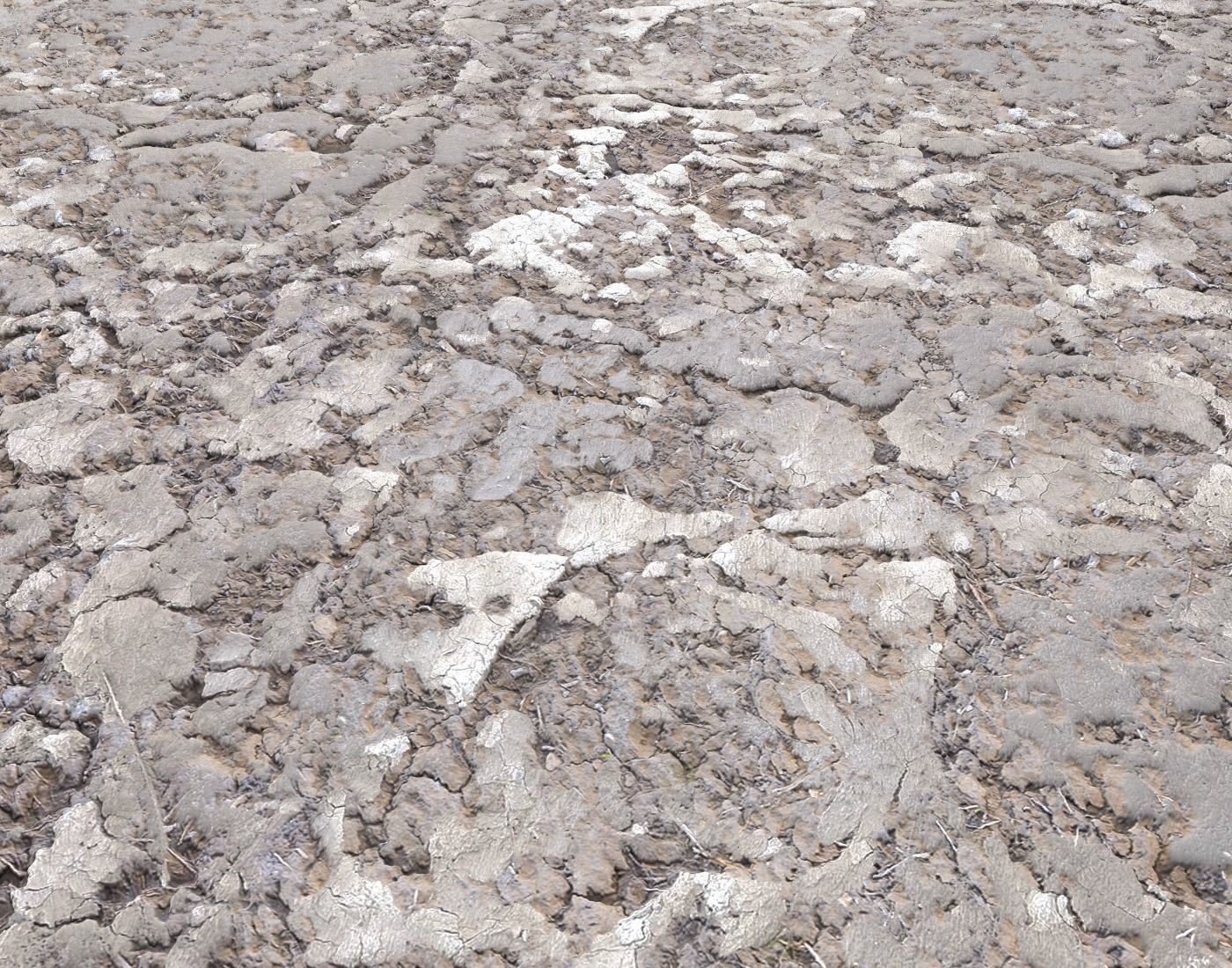 Desert Wasteland ground PBR Pack 2 Texture_7