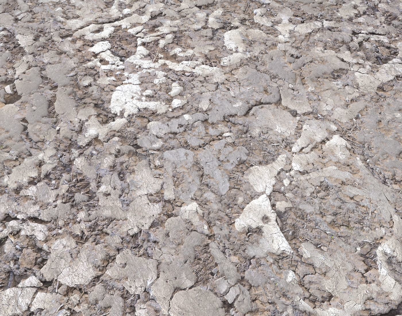 Desert Wasteland ground PBR Pack 2 Texture_8