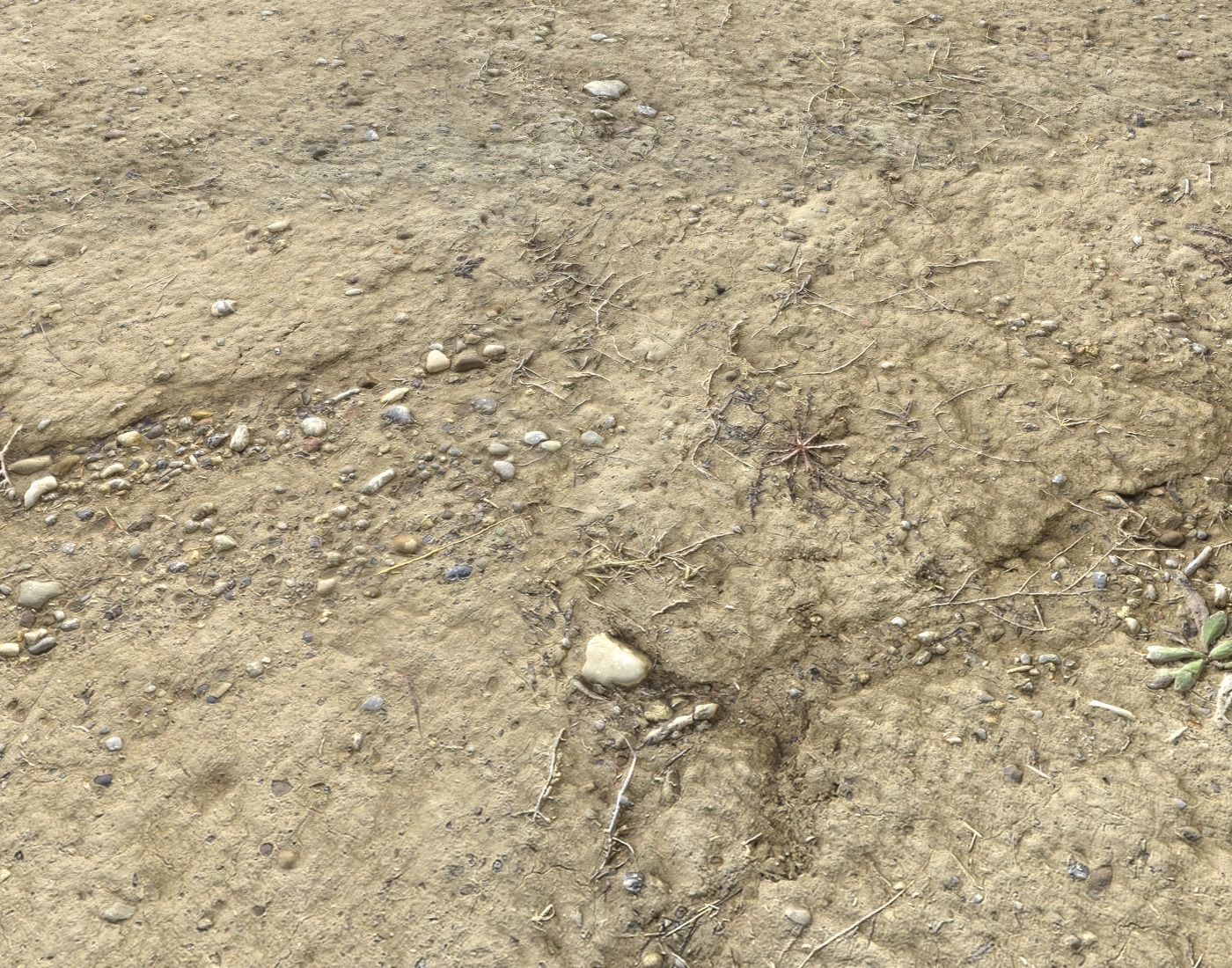 Desert Wasteland ground PBR Pack 3 Texture_13