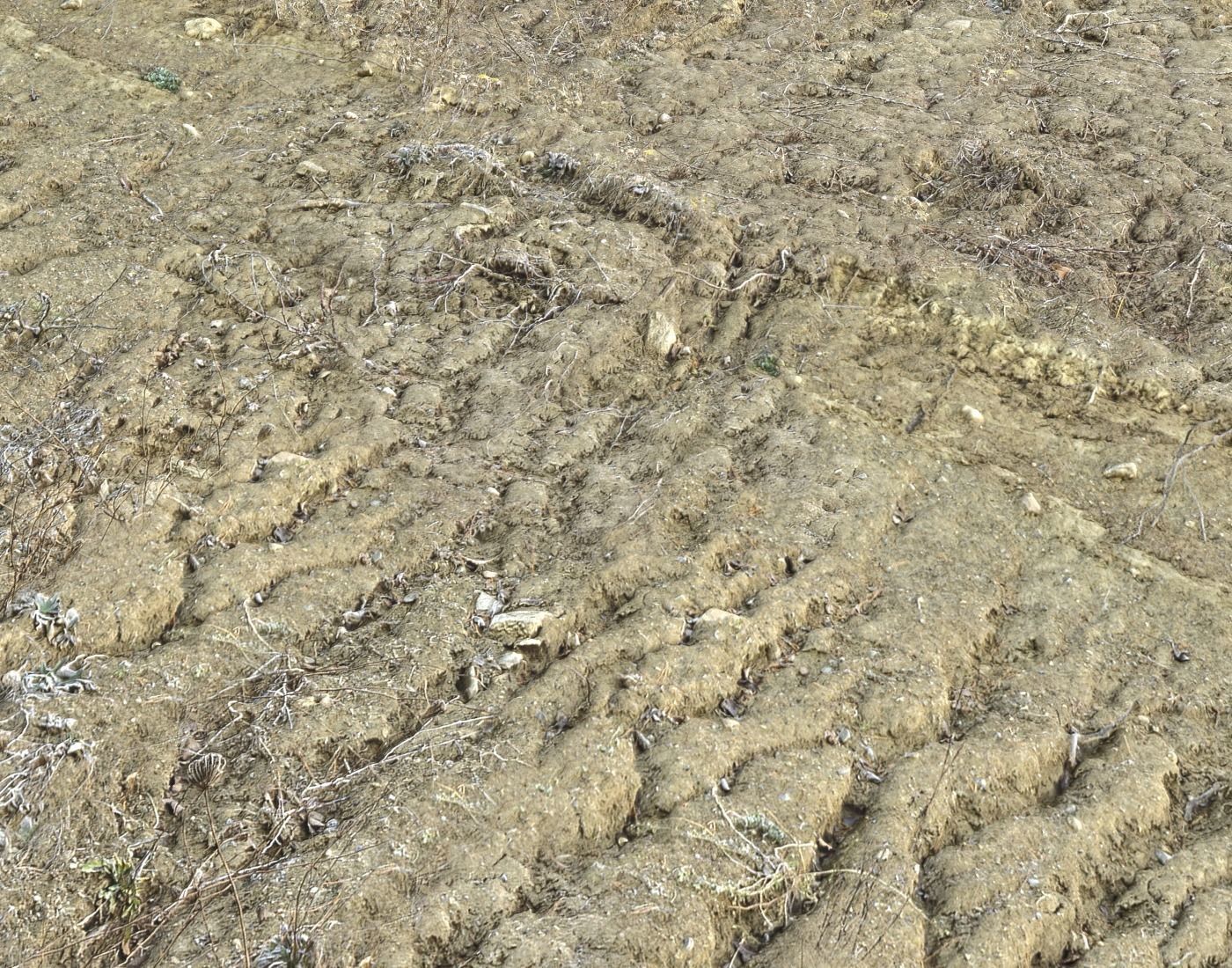 Desert Wasteland ground PBR Pack 3 Texture_18