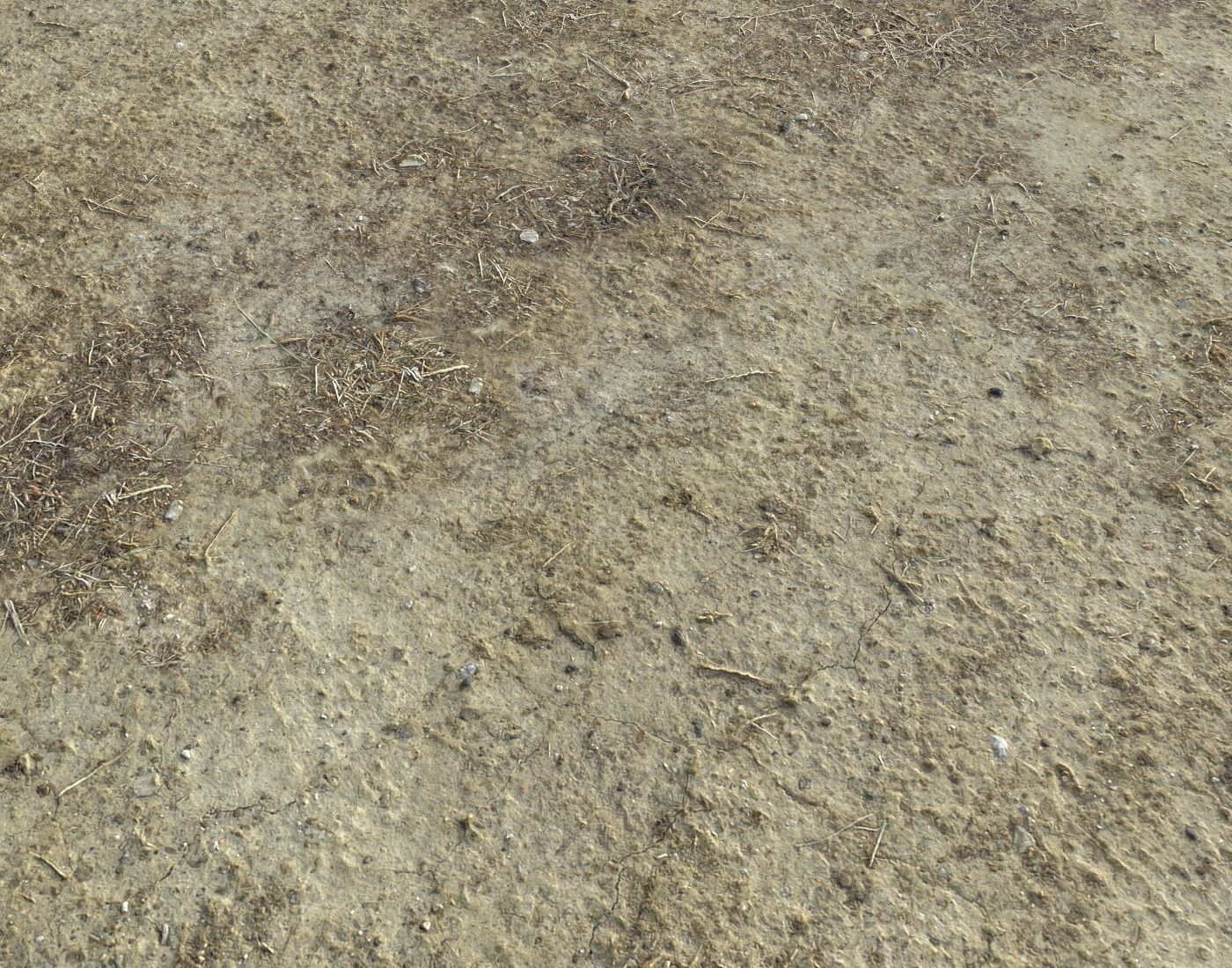 Desert Wasteland ground PBR Pack 3 Texture_14