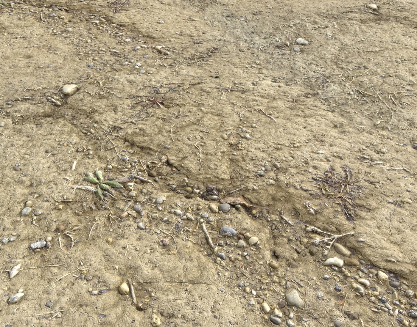 Desert Wasteland ground PBR Pack 3 Texture_10