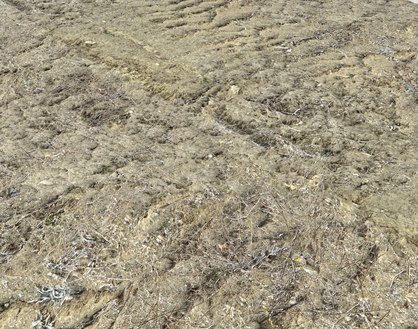 Desert Wasteland ground PBR Pack 3 Texture_20