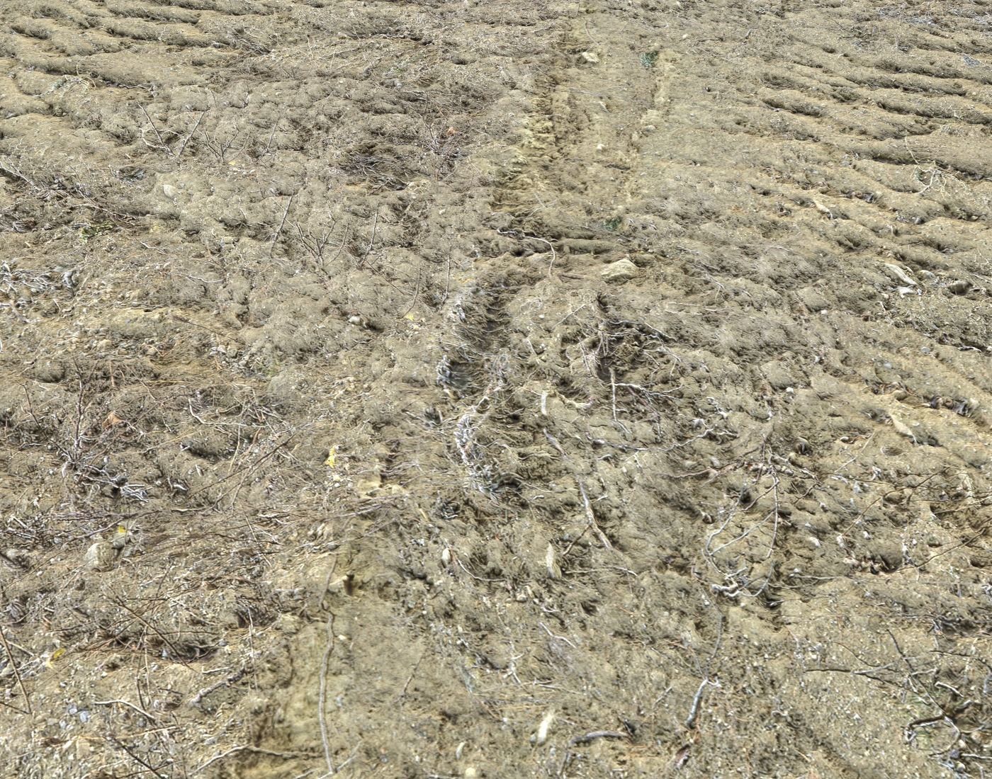 Desert Wasteland ground PBR Pack 3 Texture_19