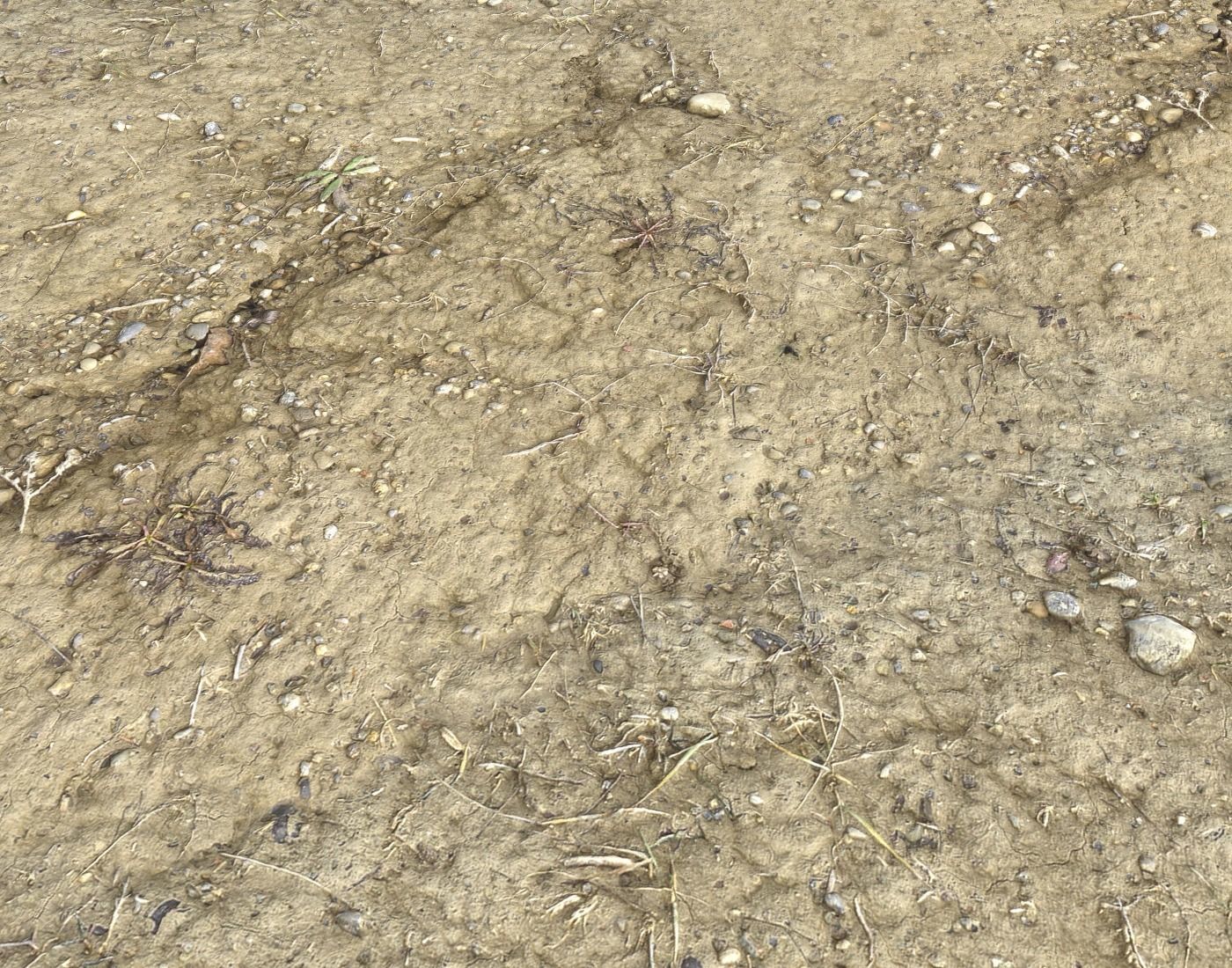 Desert Wasteland ground PBR Pack 3 Texture_11