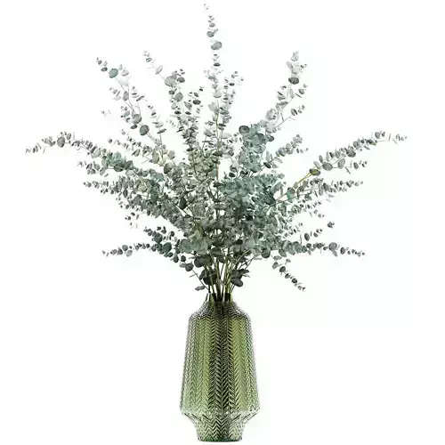Eucalyptus branches in a green vase
