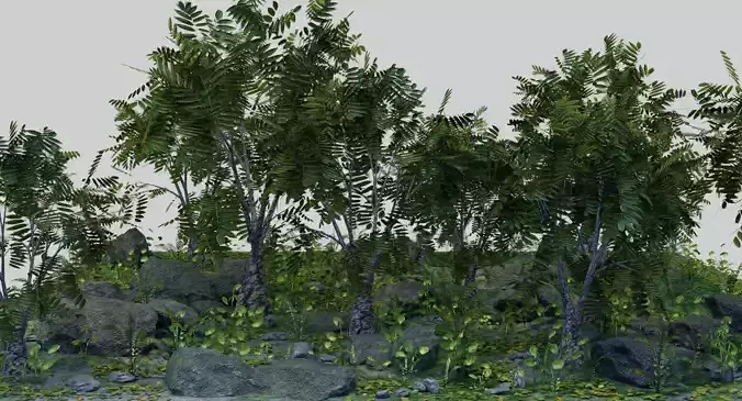Forest Scene 3D model