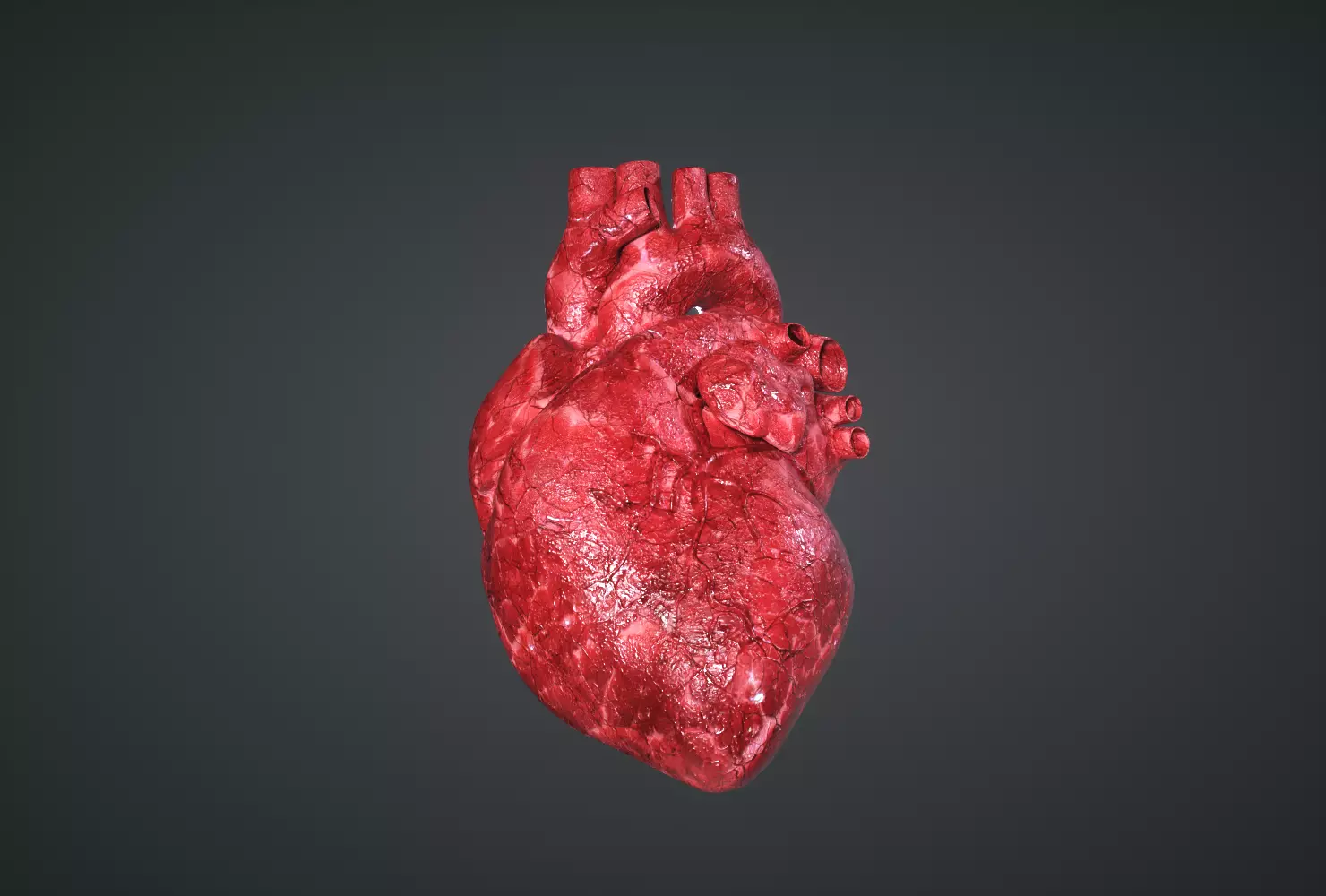 Human Heart Low-poly 3D model_0