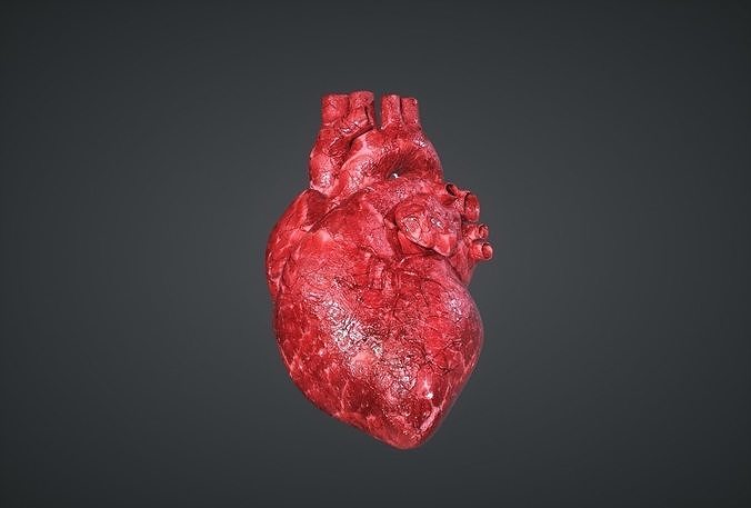Human Heart Low-poly 3D model