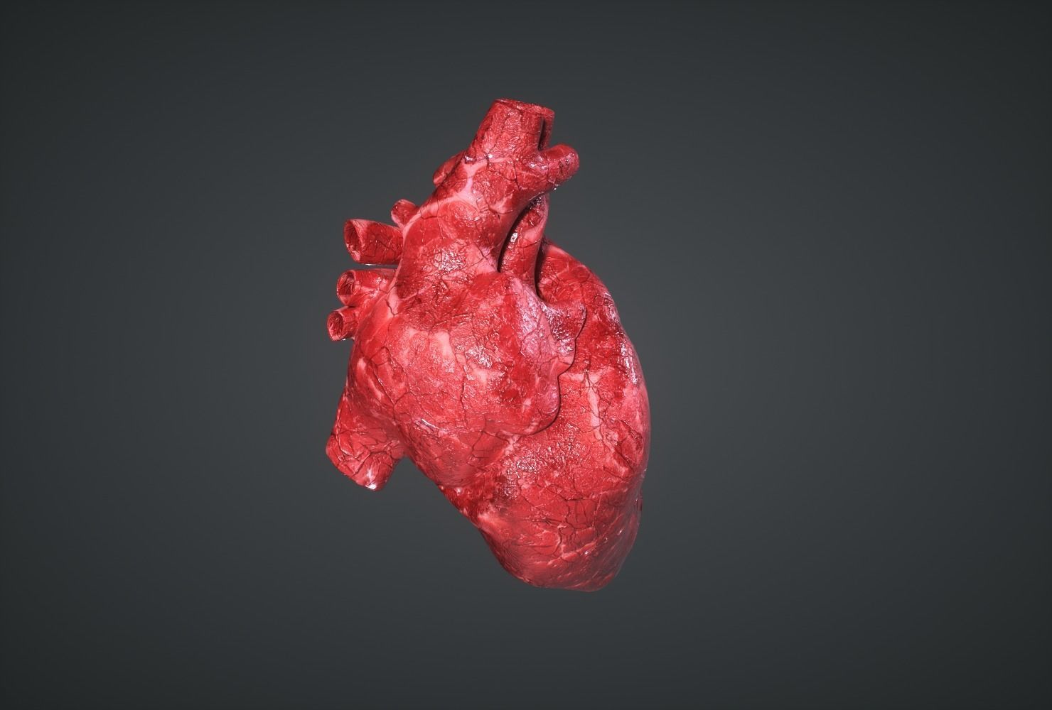 Human Heart Low-poly 3D model_1