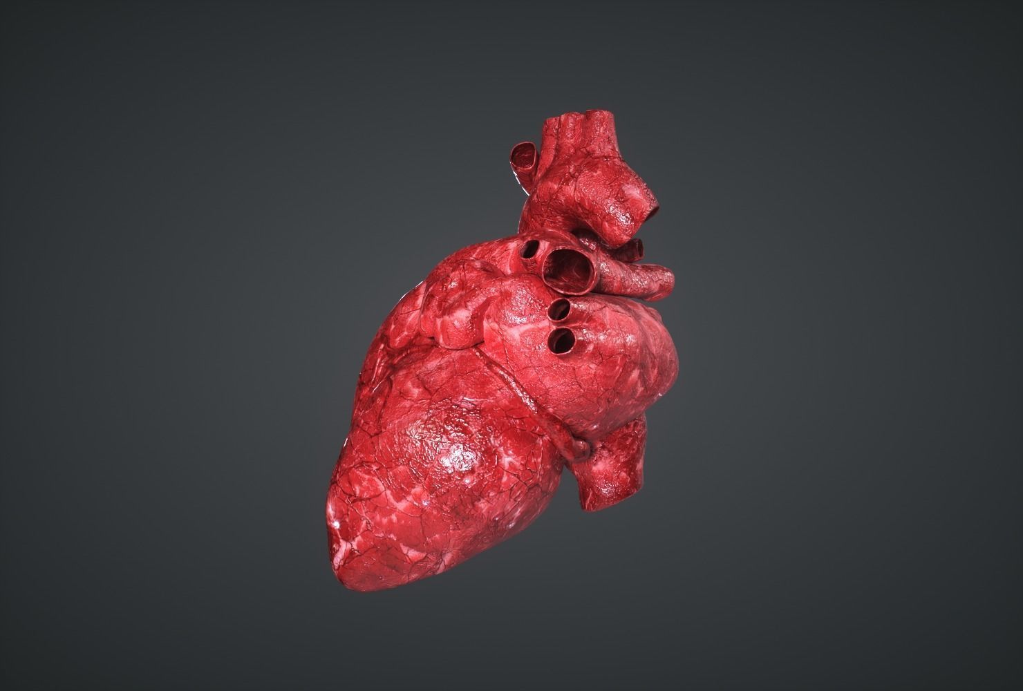 Human Heart Low-poly 3D model_2