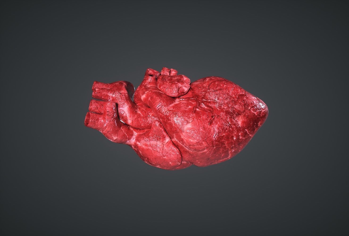 Human Heart Low-poly 3D model_3