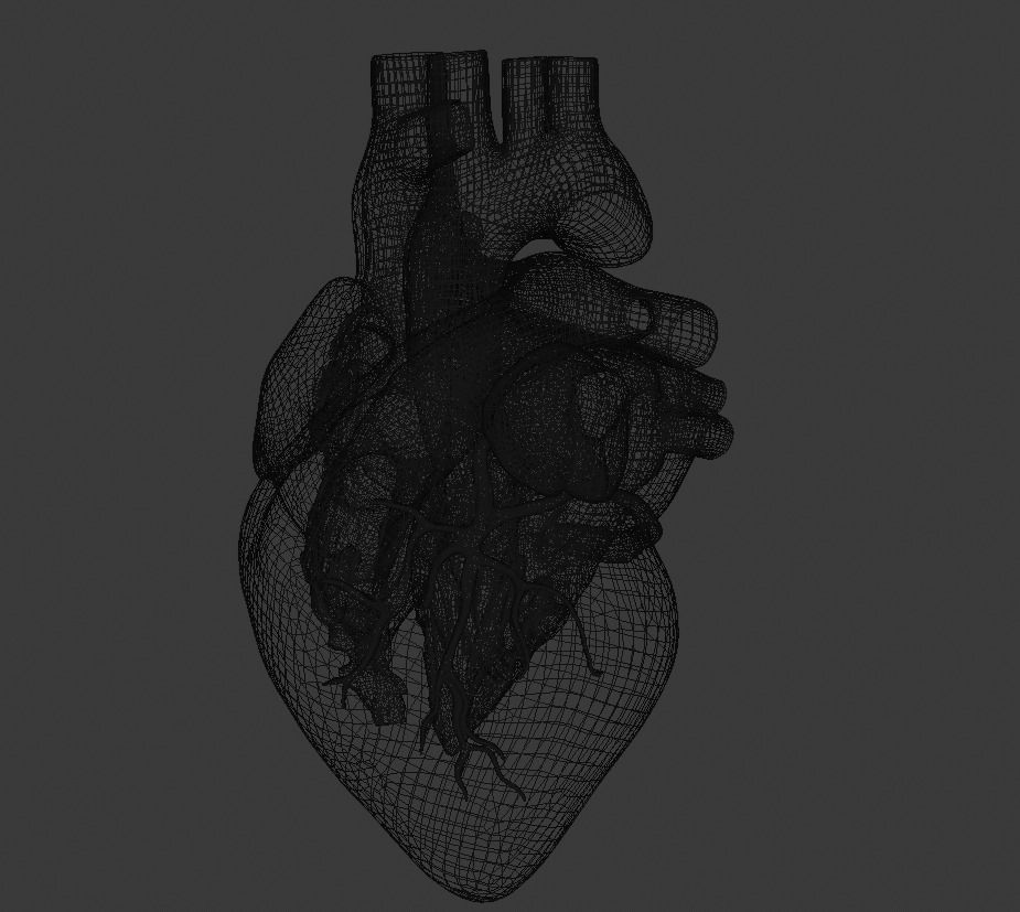 Human Heart Low-poly 3D model_4